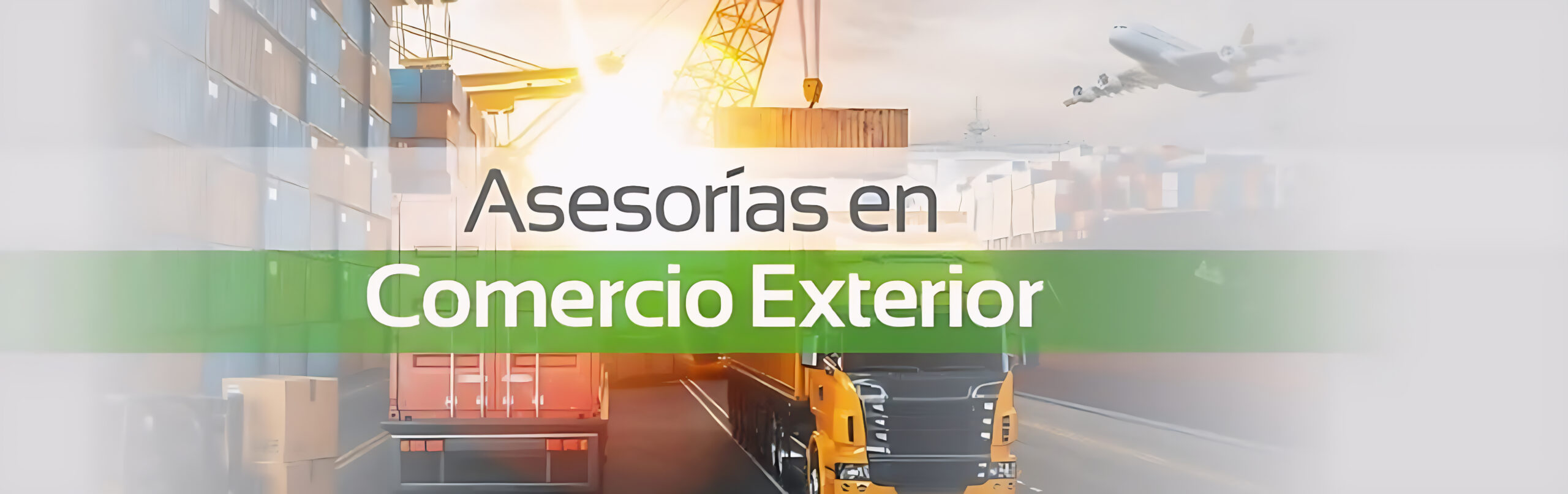 Servicio de comercio Exterior